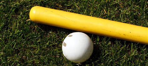 wiffle ball and bat